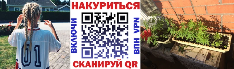 Бошки марихуана AK-47  дарнет шоп  Усть-Лабинск 